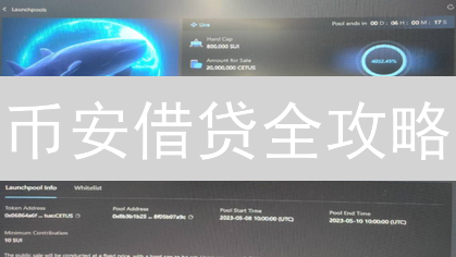 币安借贷全攻略：稳健增收，专家教你避坑【附操作指南】
