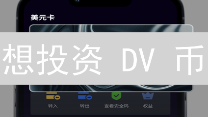 想投资 DV 币？新手购买 DV 币的完整指南！速看！