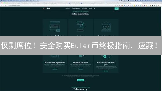 仅剩席位！安全购买Euler币终极指南，速藏！