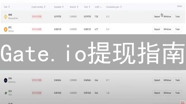Gate.io提现指南：避坑指南，助你丝滑提现！