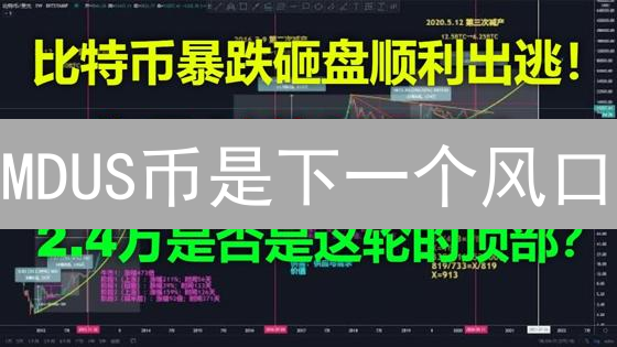 MDUS币是下一个风口？深度剖析其潜力与风险！