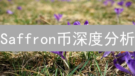 Saffron币深度分析：5大关键因素揭示未来潜力