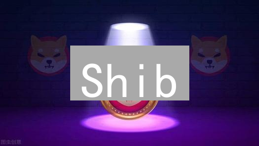 Shib：币安真的投资了吗？权威解读与潜在信号分析