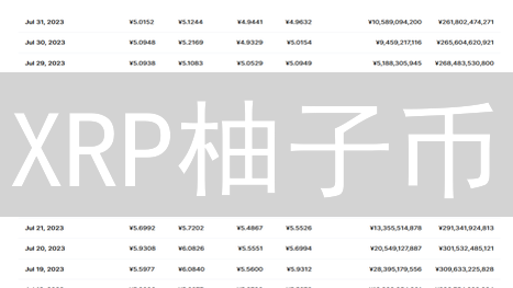 XRP柚子币：下一次暴涨前，你必须知道的3大关键！